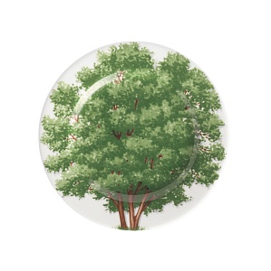 Тарелка 16 см Wood С Freedom Taitu